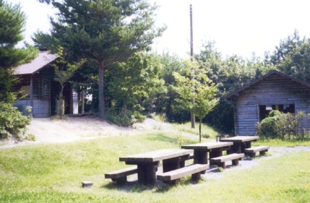 Forest Sports Park Campsite