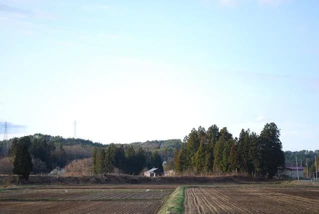 Tachi Katakura