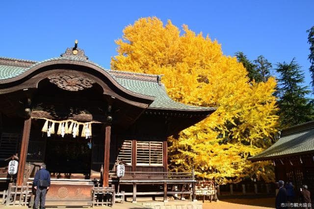 Katsushika Hachimangu Shrine