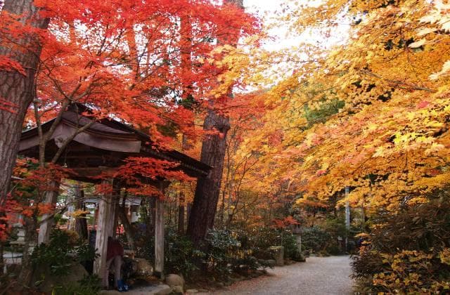 山本公園