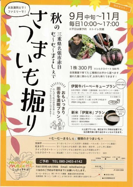 さつまいも堀り