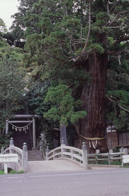 Okunitama-jinja Shrine