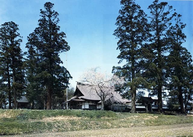 Daikoin