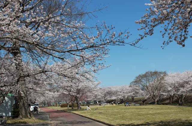 Ozeki Ryokuchi Park