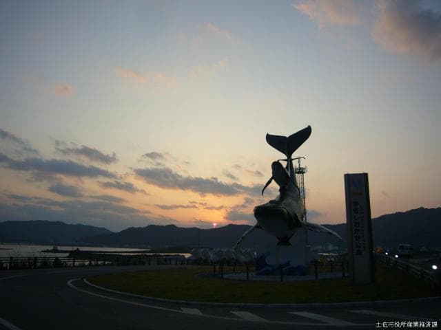 Shiokaze Park Evening