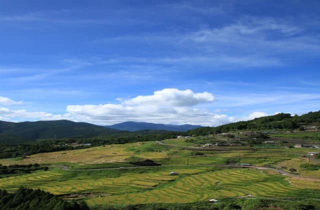 丸山千枚田