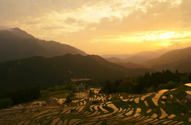 丸山千枚田
