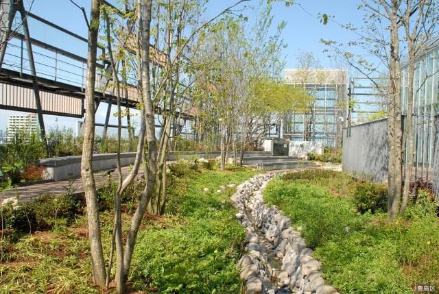 photo_7_10ftoshimaforest