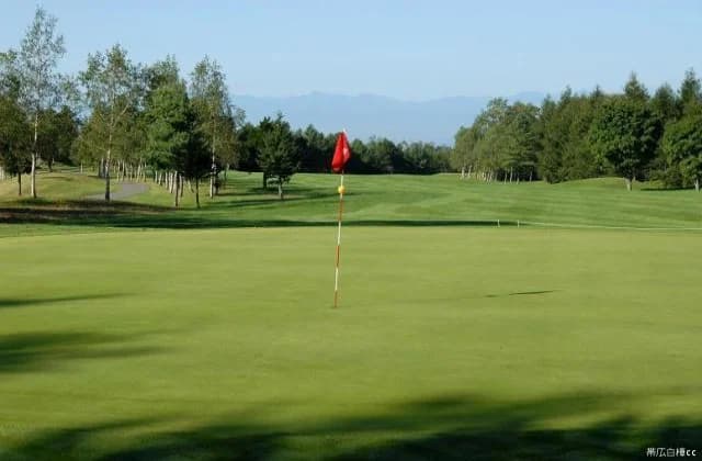 Sakura Course No. 5