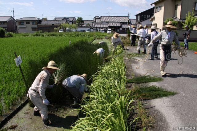 Grass cutting