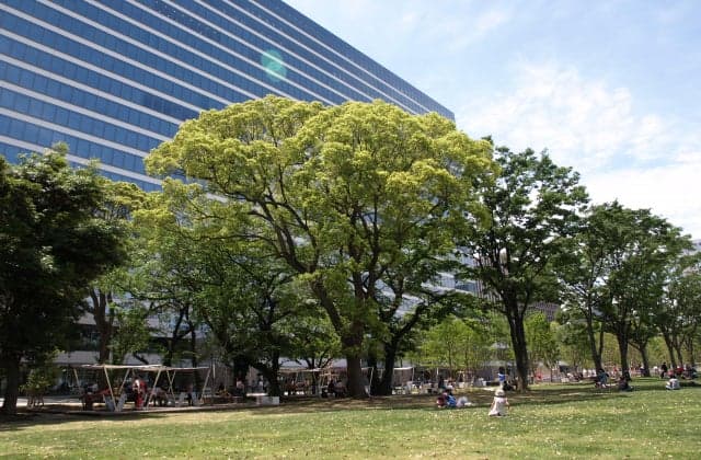 中野四季の森公園