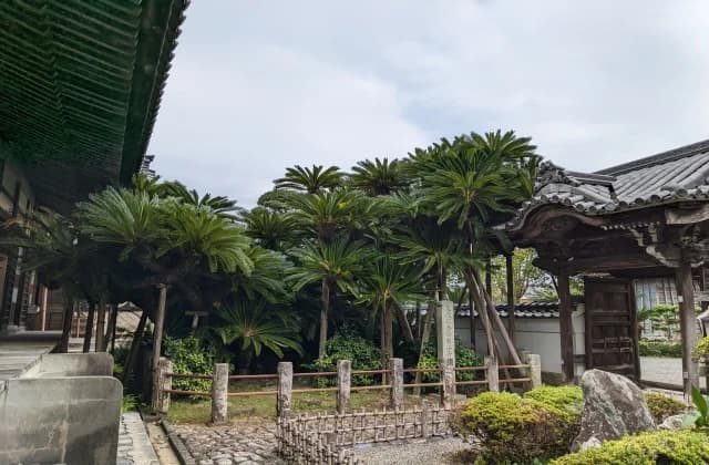 Places of Noman-ji Temple