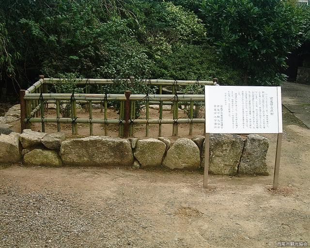 Koju-in Temple (the original tree of Nishio tea)