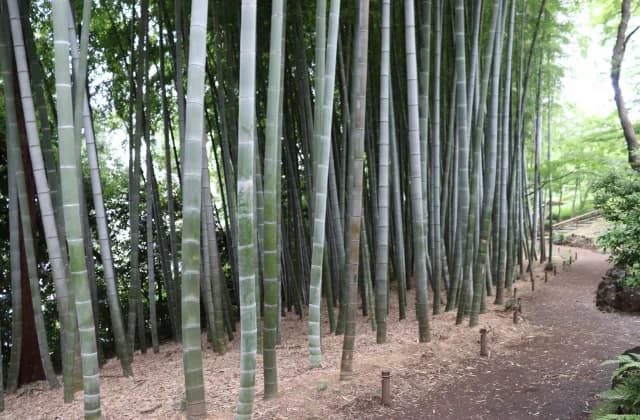 Tonogaya Toen Garden
