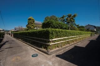 Middle hedge
