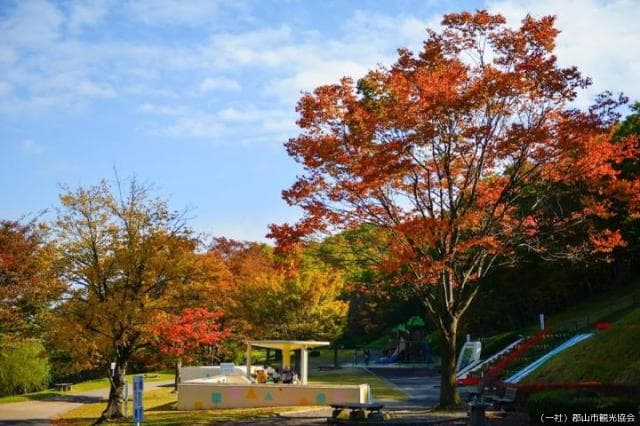 逢瀬公園