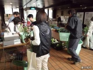 Higashiyamato-shi government office citizen lobby [direct sale place]