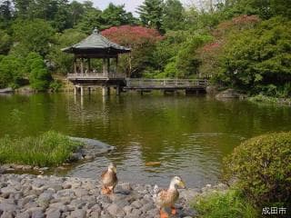 成田山公園
