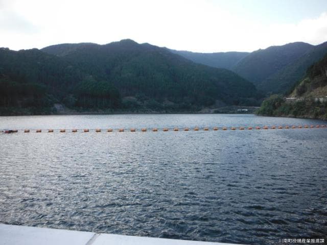 Kirihara Dam 2