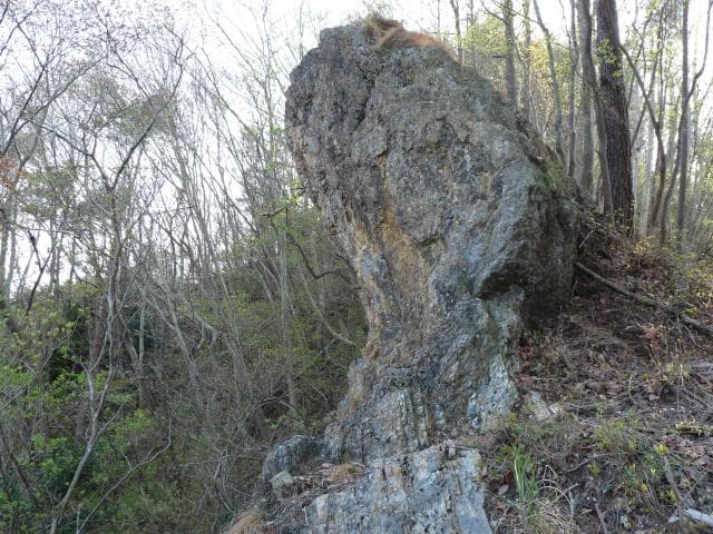 Chicken stone