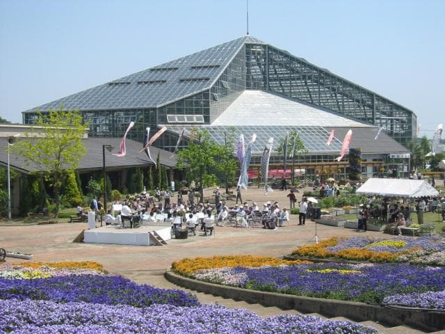 Flower center