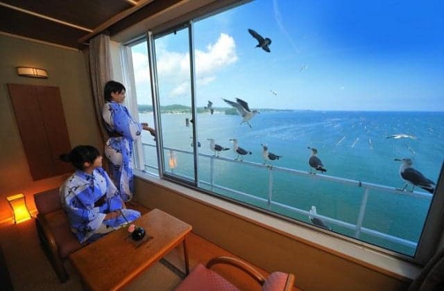 東館客室にウミネコ