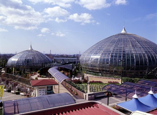 手柄山温室植物園