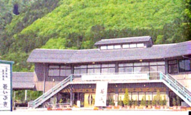 The appearance of a young bubbling