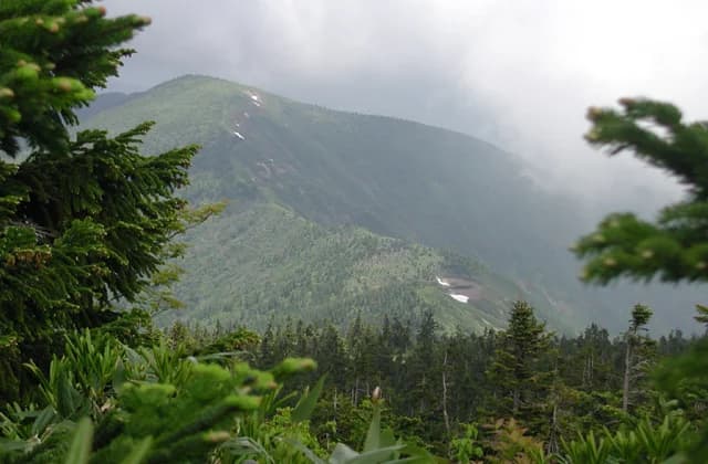 Mt.