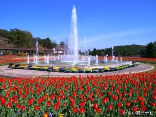 Flower center