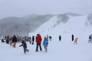 Niki Townsman Ski Resort