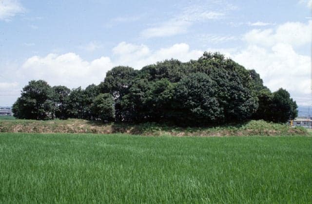 Osumi Kurumazuka Tumulus