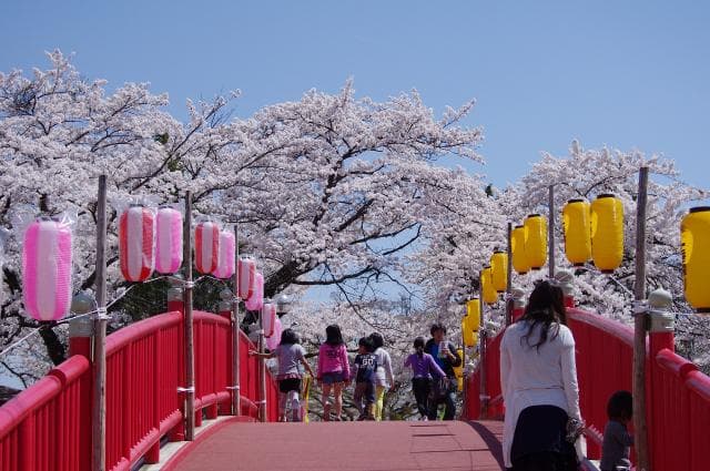 Keijo Bridge and Cherry Blossoms on the west side of the park