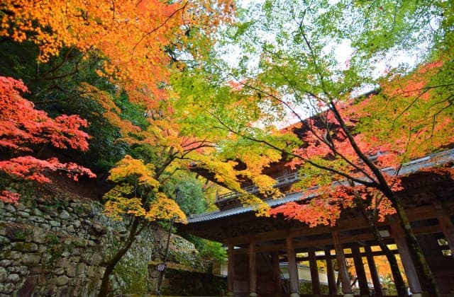 Large Eigenji, Motoyama