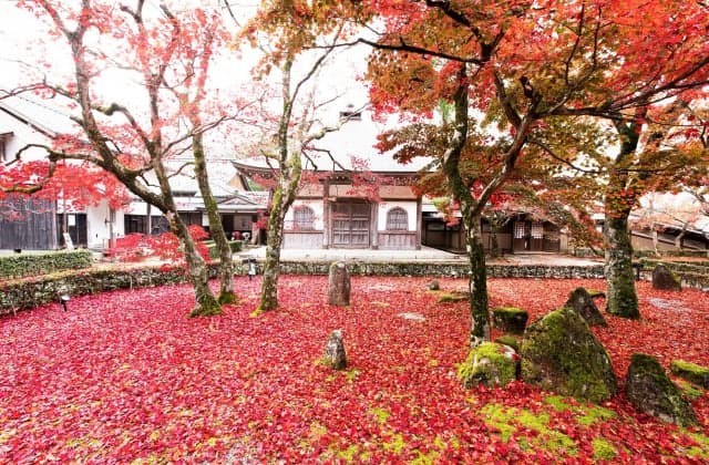 Large Eigenji, Motoyama