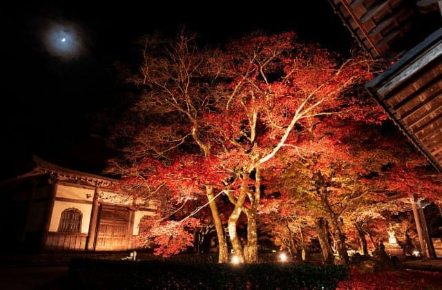 Large Eigenji, Motoyama