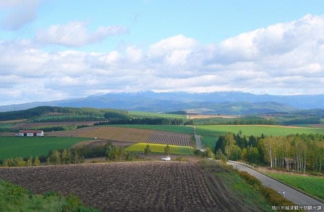 Nishi Kagura Shujitsu Hill 2 (Asahikawa)