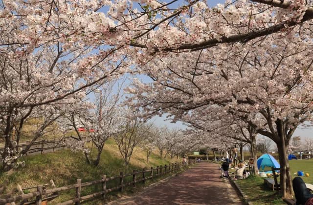 Kowaki Park