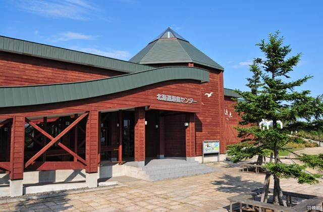Hokkaido Seabird Center
