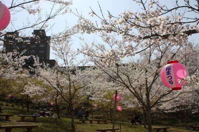 Kamigoori Sakura Garden