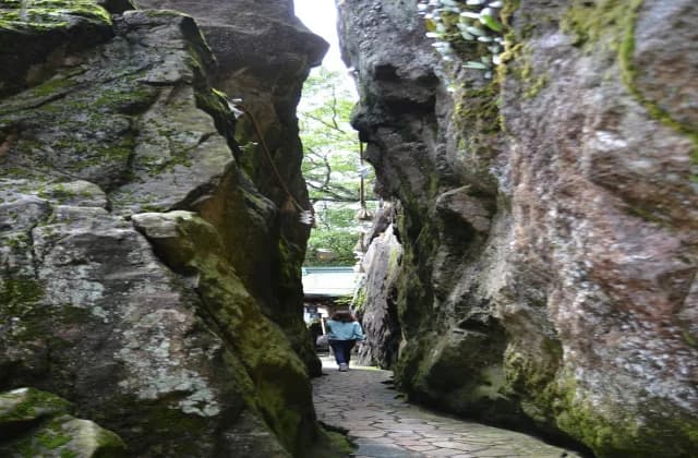 Taro Bonomiya