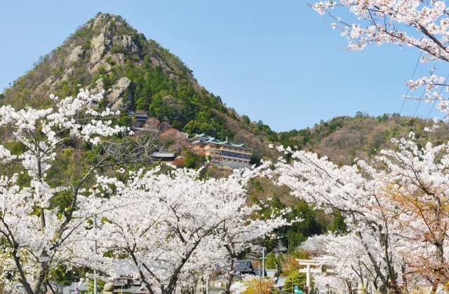 Taro Bonomiya
