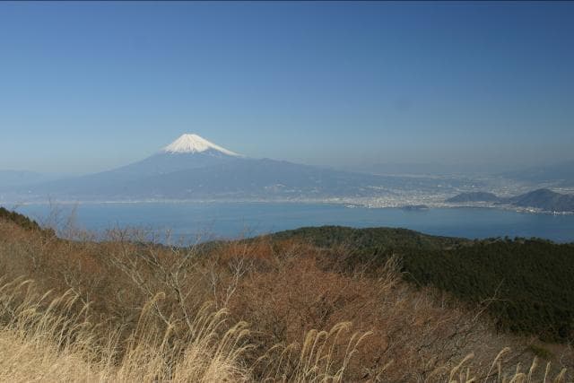 達磨山からの富士山