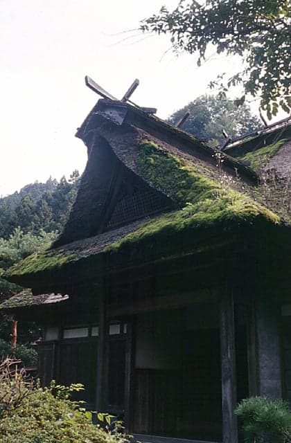 A house made of kabuto