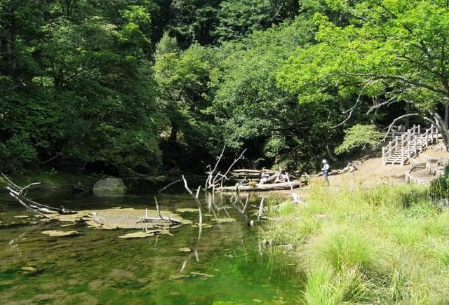 Izumimonike Pond