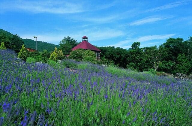 Kagi no Mori Herb Garden