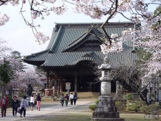 Cherry blossoms at Sogo Sacred Hall