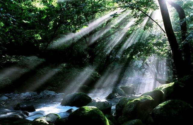 Shonizawa Spring Water