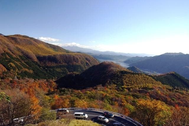 Iroha-zaka of autumn leaves