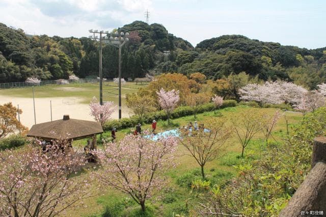 Senbon Park Ground